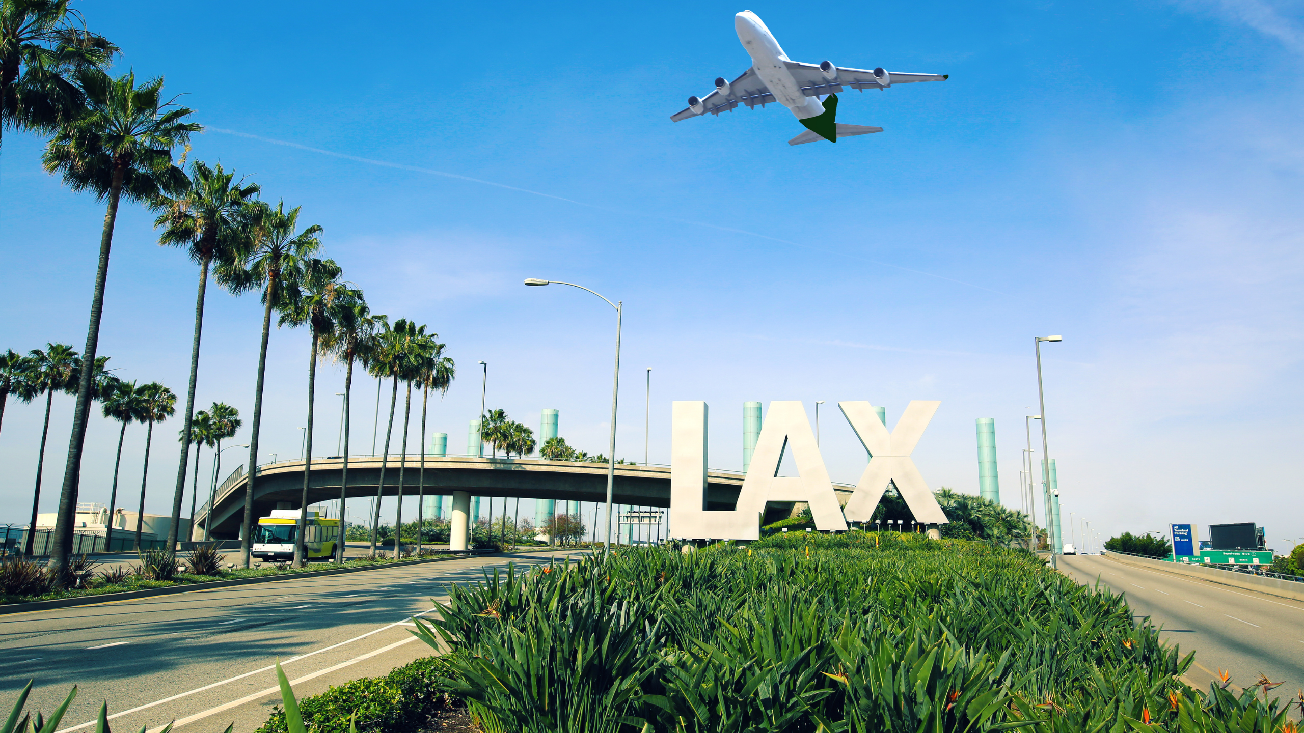 El Segundo local area and buyer social infrastructure research