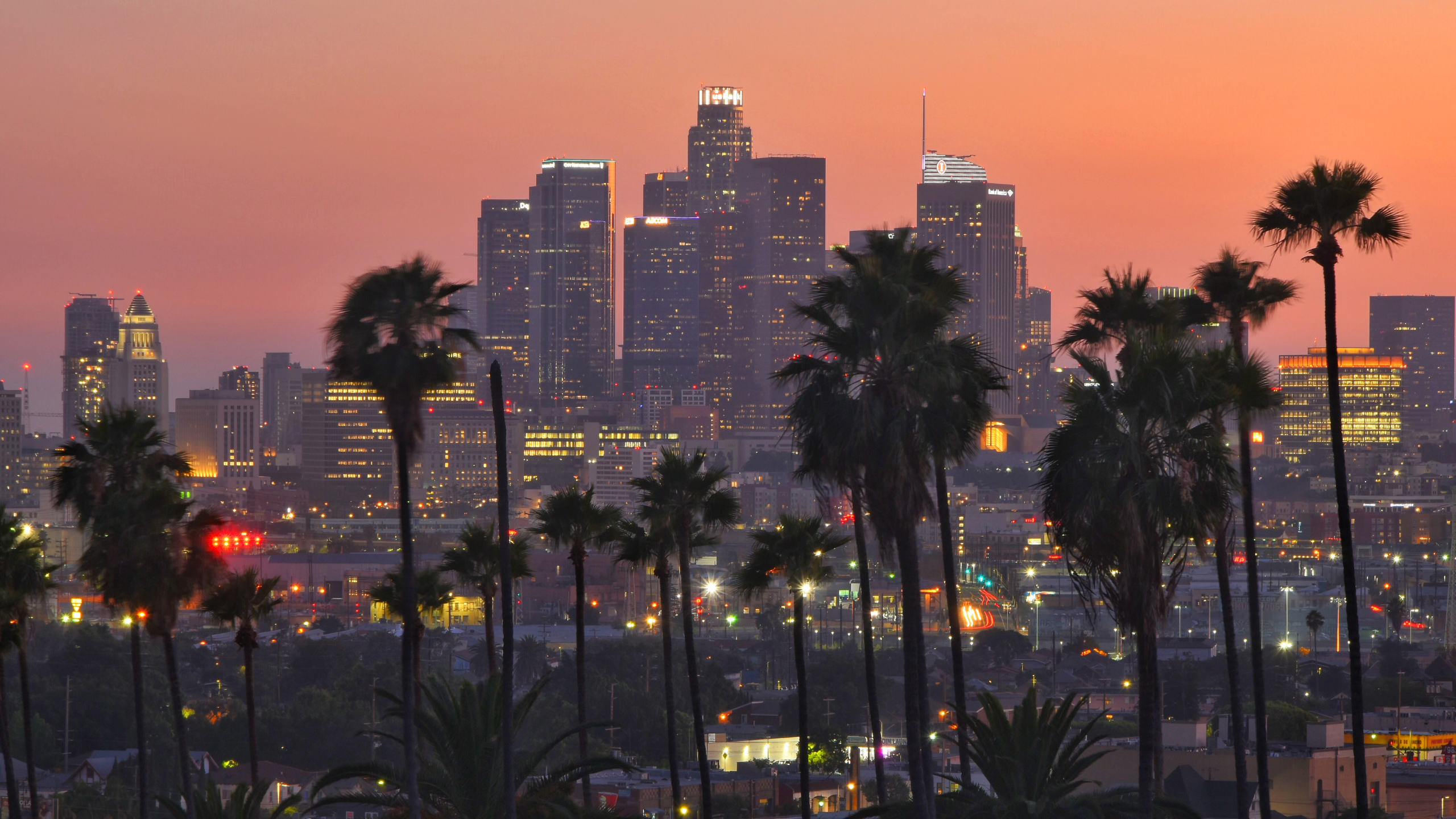 Los Angeles skyline and palm trees viewed from Hawthorne at sunset
