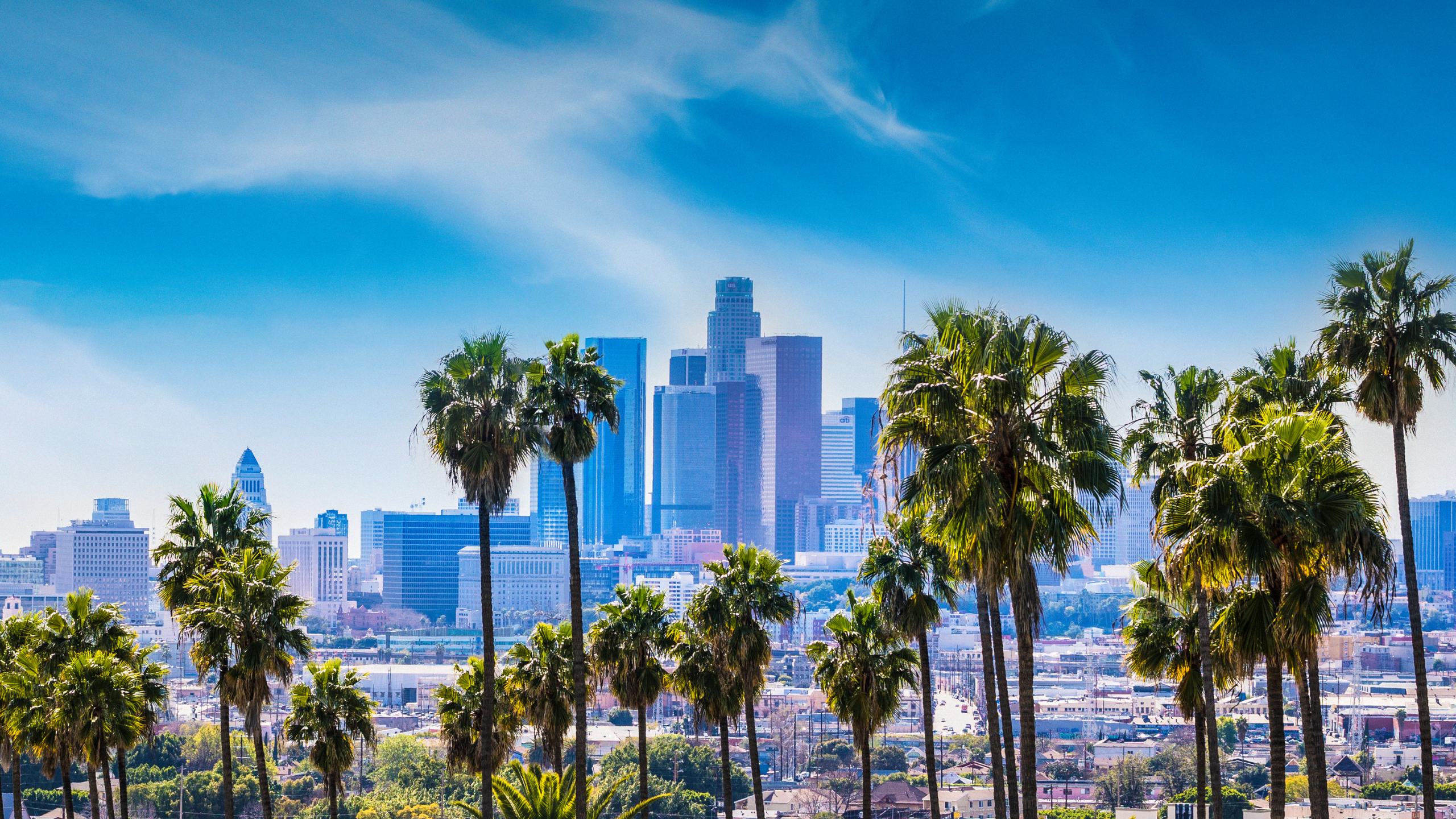 Los Angeles skyline and palm trees viewed from the Westside